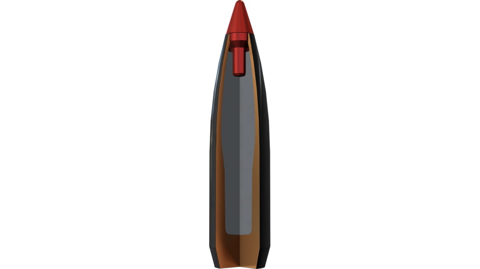 Winchester Supr 300 Win Mag 180 gr AccuBnd CT S300WMCT, S300WMCT