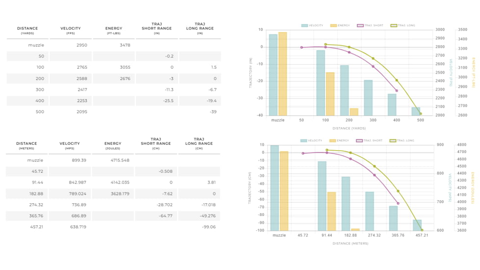 Winchester Supr 300 Win Mag 180 gr AccuBnd CT S300WMCT, S300WMCT