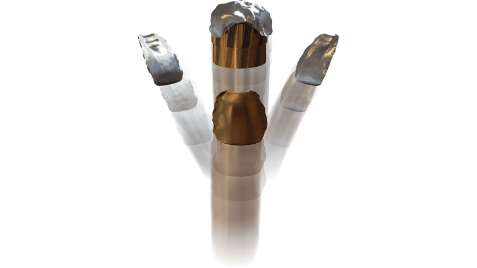 Winchester Varmint HE .22 Long Rifle 37 grain 3/1 Fragmenting Hollow Point Rimfire Ammo, 50 Rounds, S22LRFSP