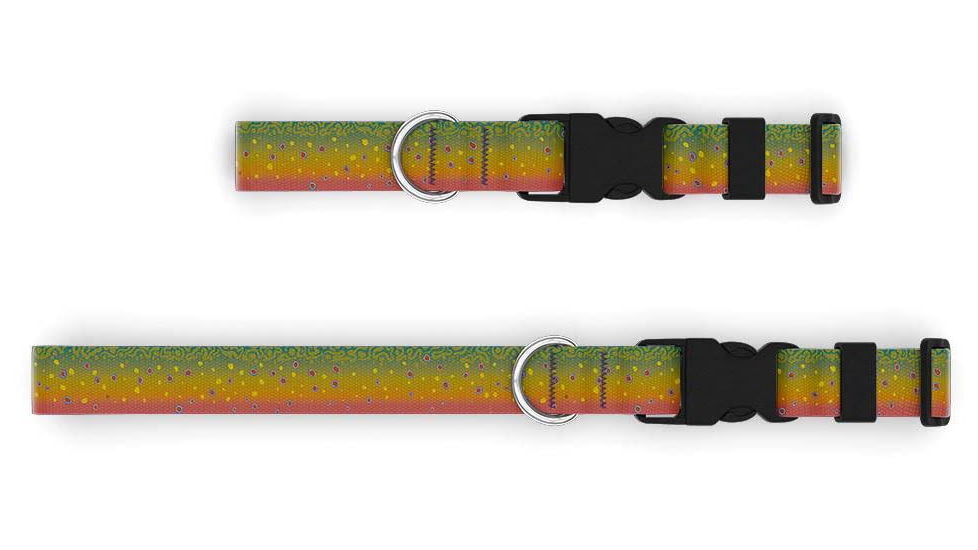 Wingo Outdoors Dog Collars, Brook Trout, Small/Medium, W-COL-122-SMD