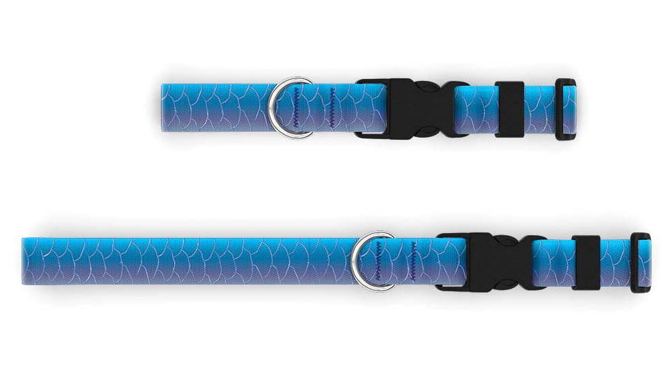 Wingo Outdoors Dog Collars, Tarpon, Small/Medium, W-COL-126-SMD