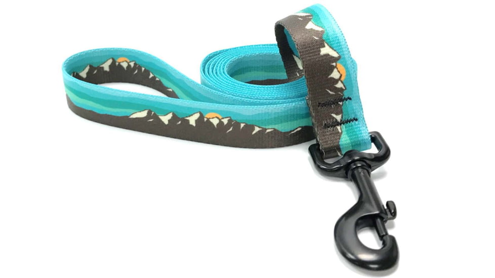 Wingo Outdoors Dog Leash, Grand Teton, W-LEA-107-6FT