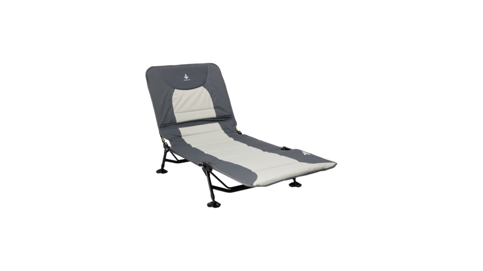 Woods Portable Quick Set-up Folding Adjustable 2-in-1 Camping Lounger/Cot, Gray, CTI0765535