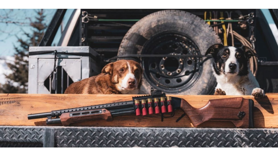 WOOX Gladiatore Collapsible Shotgun Stock &amp; Forend Set