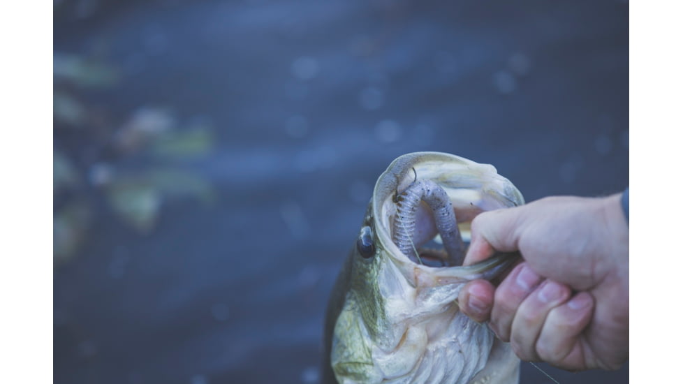 Yamamoto Baits Slinko Floater Soft Bait, 7, 5.5in, Blue Pearl-Black-Hologram, YAM-SLINKO5.5-239