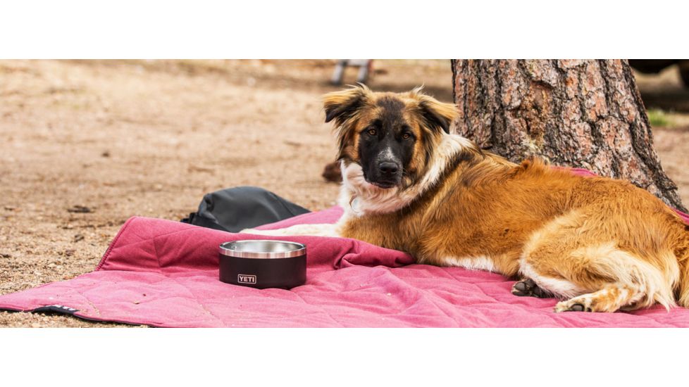 Yeti Boomer 4 Dog Bowl, Black, 21071504136