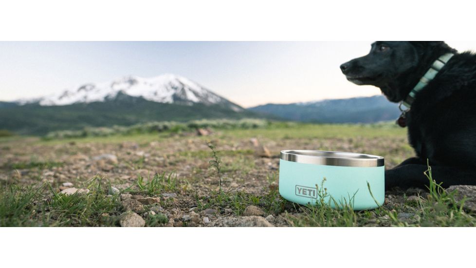 Yeti Boomer 4 Dog Bowl, Seafoam, 21071504588
