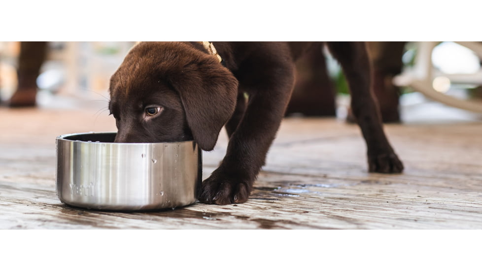 Yeti Boomer 4 Dog Bowl, Stainless Steel, 21071500010