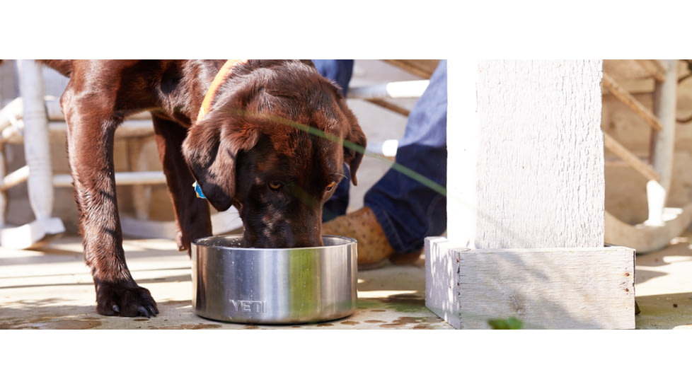 Yeti Boomer 8 Dog Bowl, Stainless, 21071500000