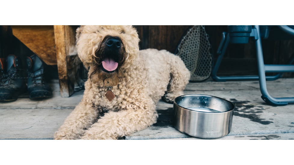 Yeti Boomer 8 Dog Bowl, Stainless, 21071500000