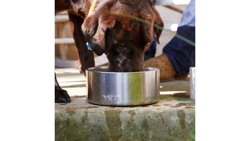 Yeti Boomer 4 Dog Bowl