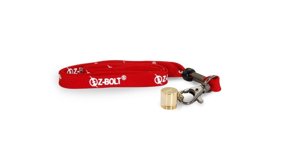 Z-Bolt BTE-4 Red Laser Pointer, Push Button Switch, Black, Small, BTE-4