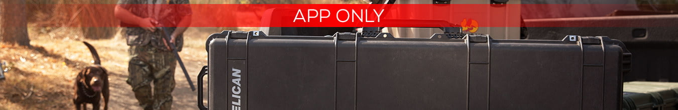 13% OFF Gun Cases in the App <em>&mdash; 57 products / 70 models</em>