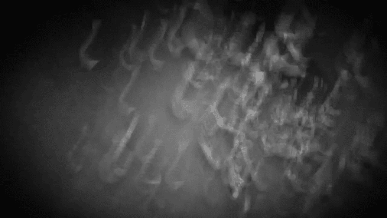 opplanet anarchy outdoors alpha vs tuxedo precision rifle grips video