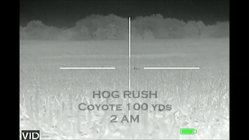 opplanet atn hog rush coyote thor video