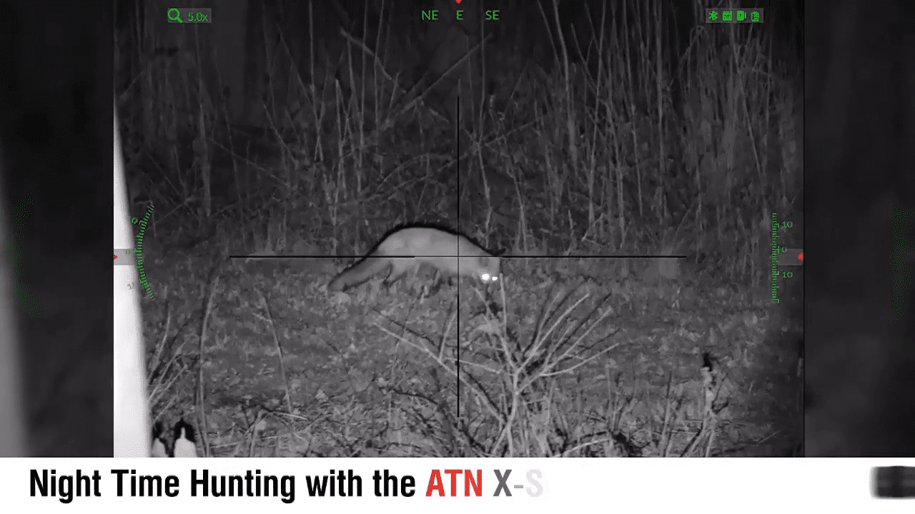 opplanet atn x sight 5 night time hunting video