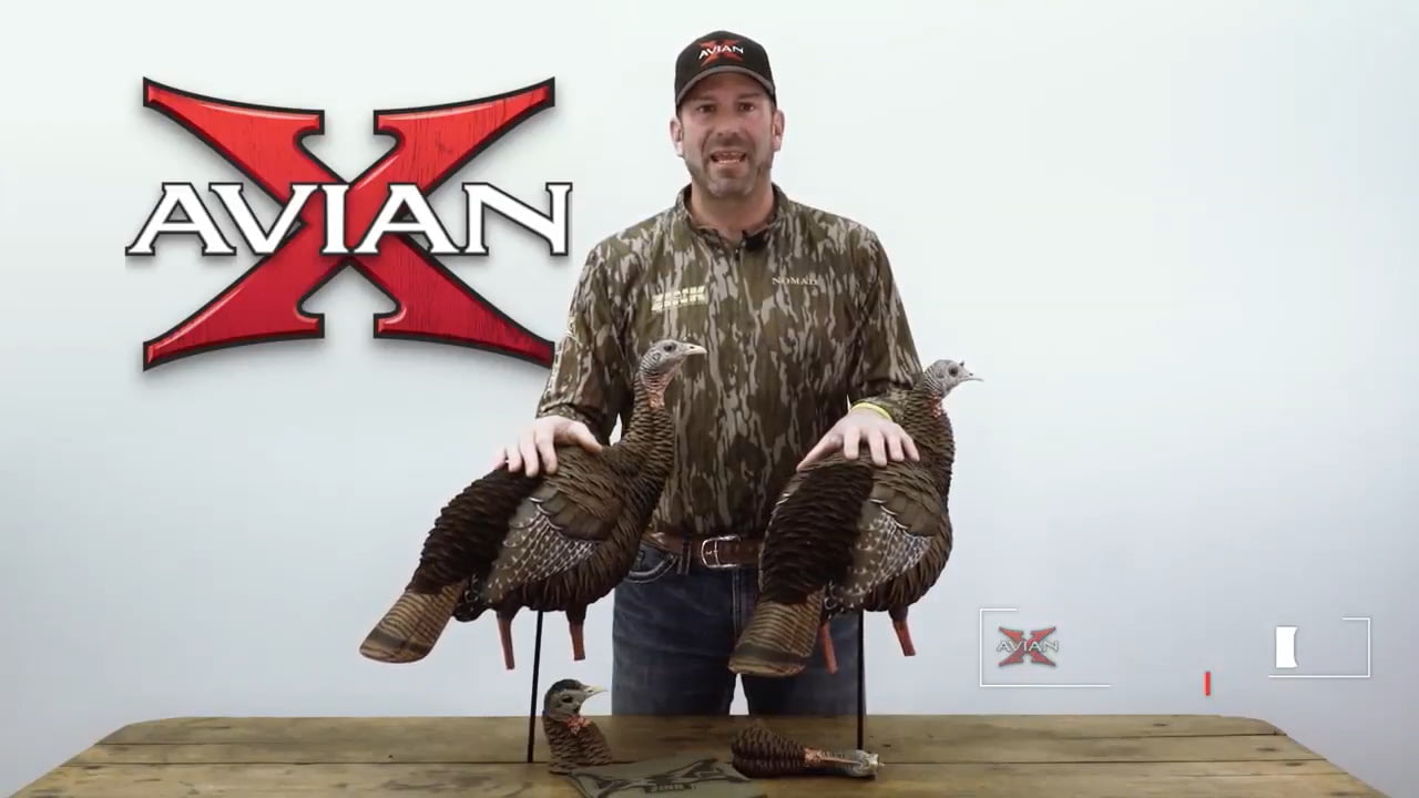 opplanet avian x hdr hen double the realism double the customization video