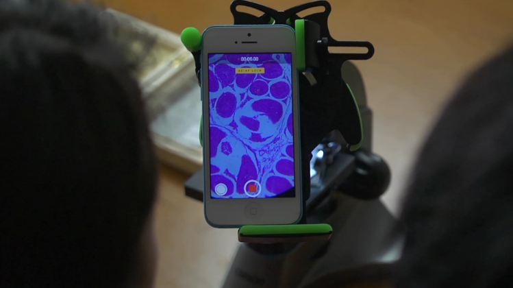 opplanet carson bundle text flv