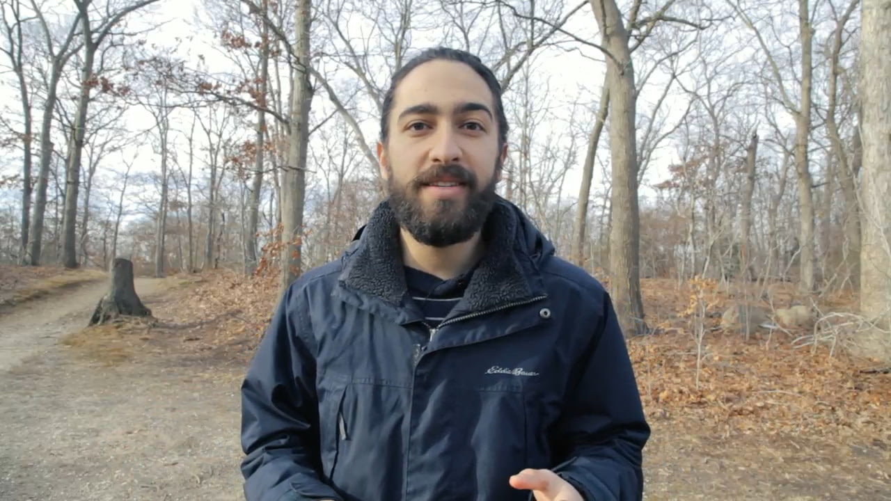 opplanet carson minimight 6x18mm monocular video