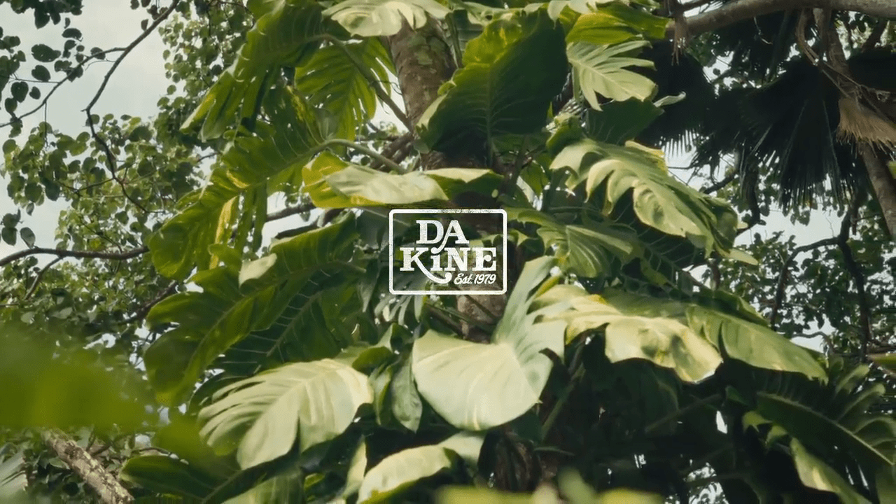 opplanet dakine jagger hybrid hip pack video