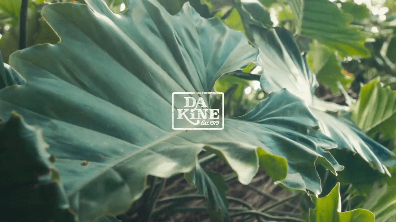 opplanet dakine joey oval crossbody video