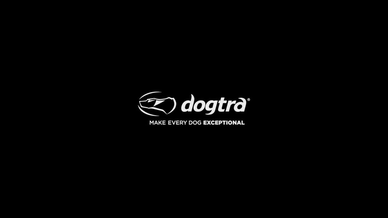 opplanet dogtra handsfree video