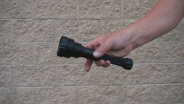 opplanet dorcy 220 lumen led flashlight 41 4299