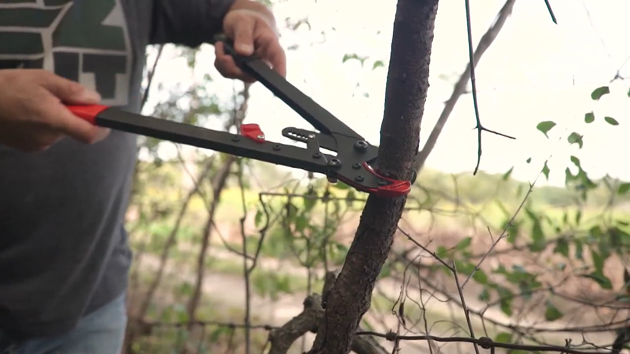 opplanet ez kut lil g ratcheting lopper video