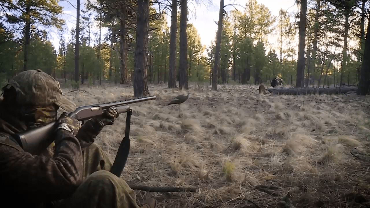 opplanet federal premium all new turkey loads with flitecontrol flex video