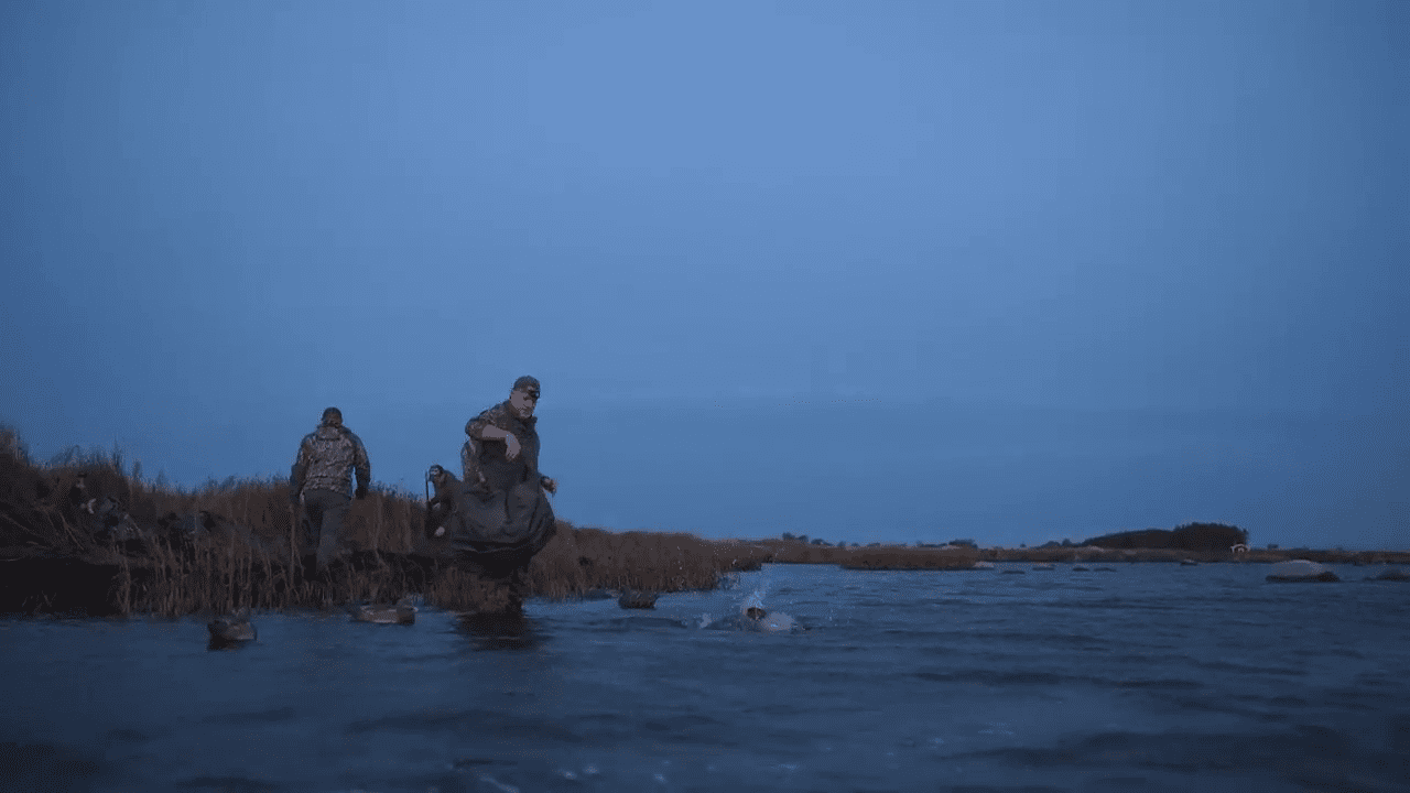 opplanet federal premium introducing hevi bismuth video