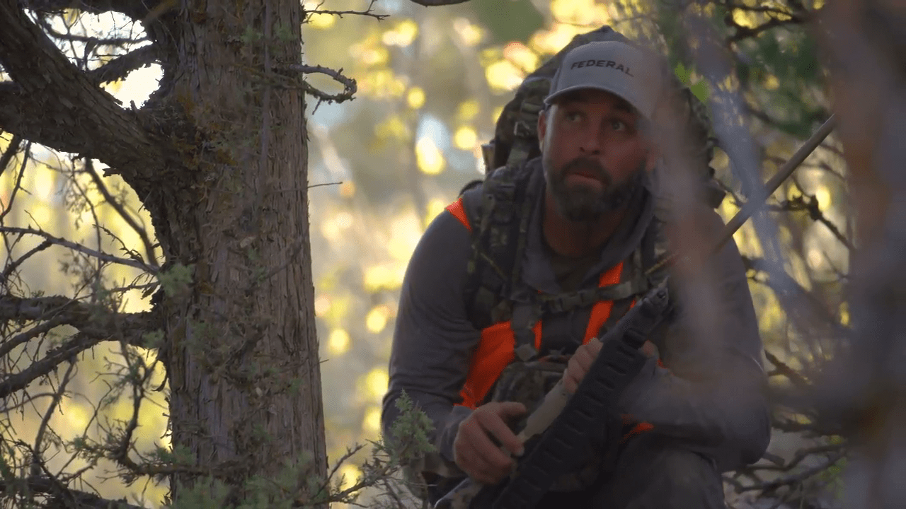 opplanet federal premium terminal ascent video