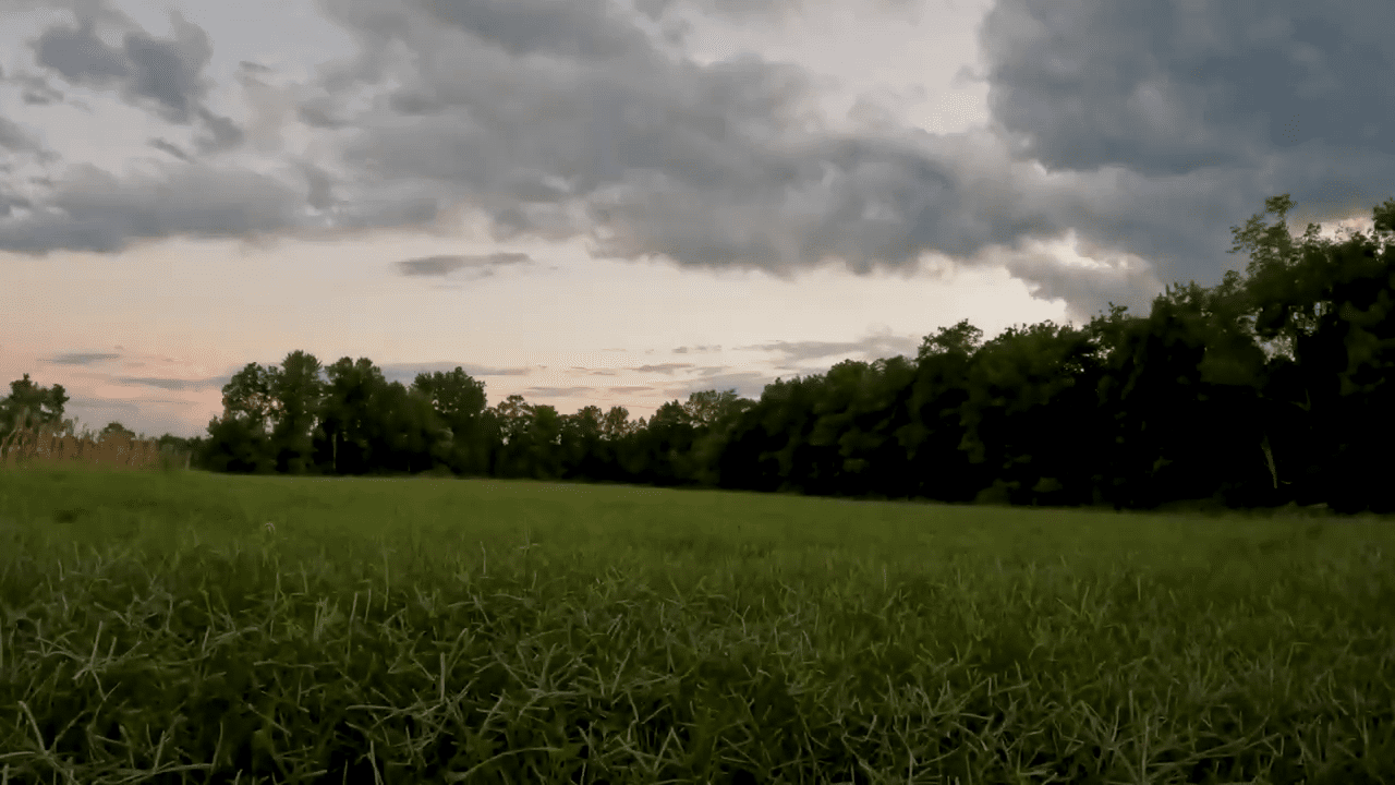 opplanet foxpro hellcat pro takes its first kentucky coyote video