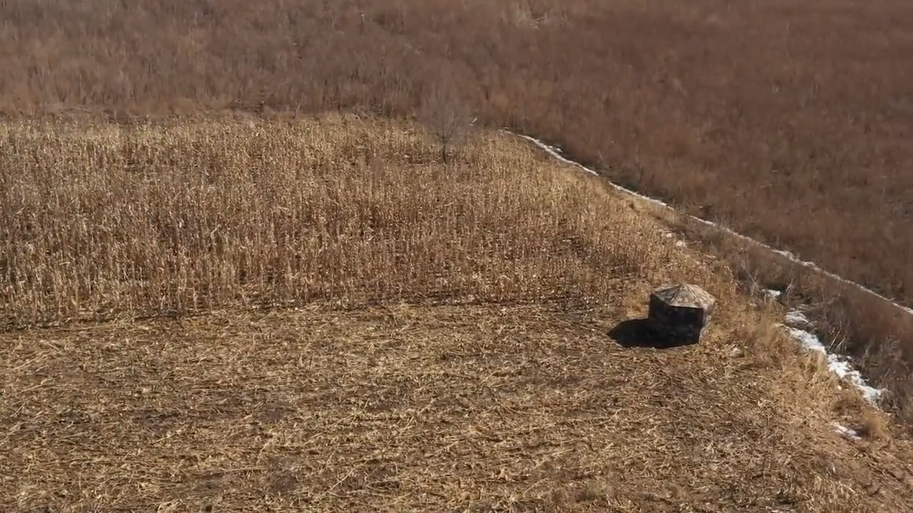 opplanet hawk down and out warrior xl blind video