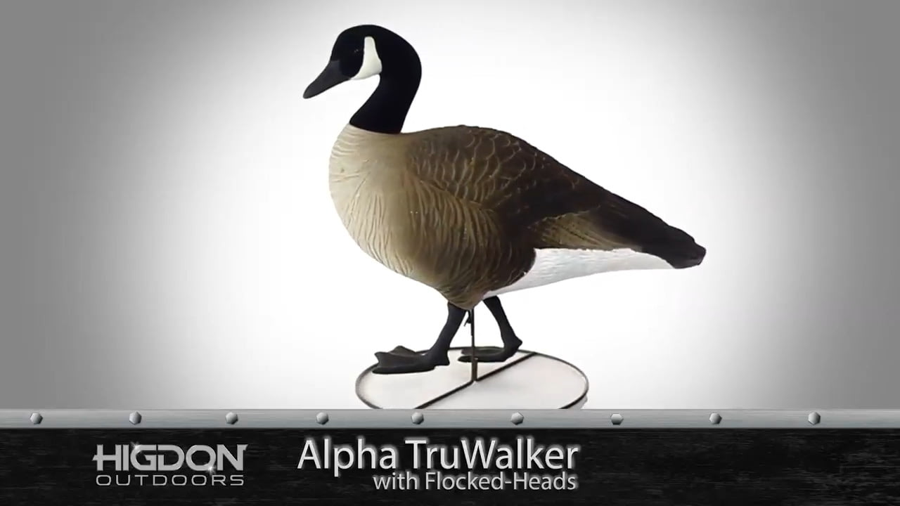 opplanet higdon outdoors alpha full body goose decoys video