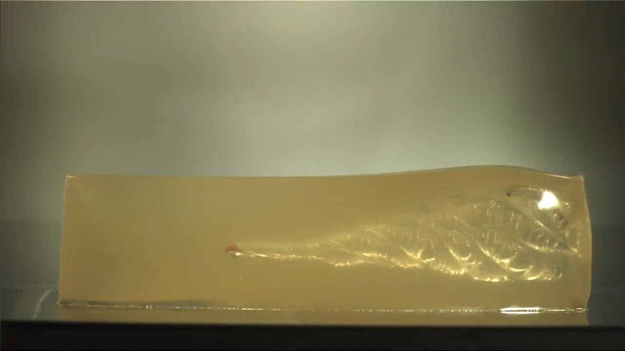 opplanet hornady critical duty 135 bare gel video