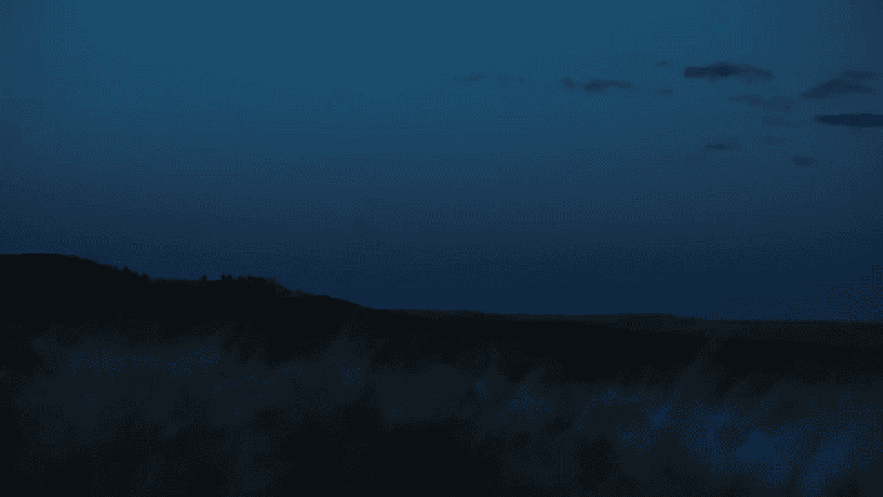 opplanet leica calonox 2 series video