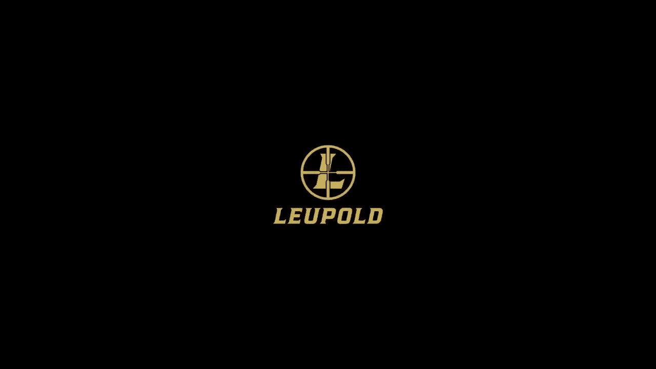 opplanet leupold bx 4 pro guide hd gen 2 binocular video