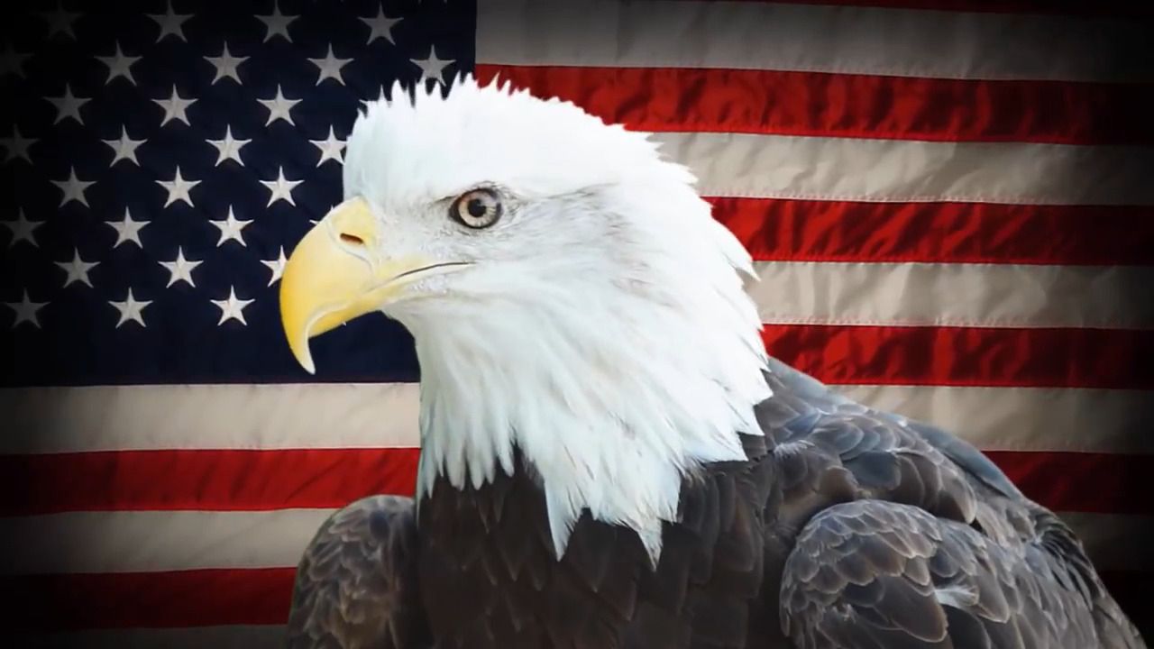 opplanet magpul hunter american video