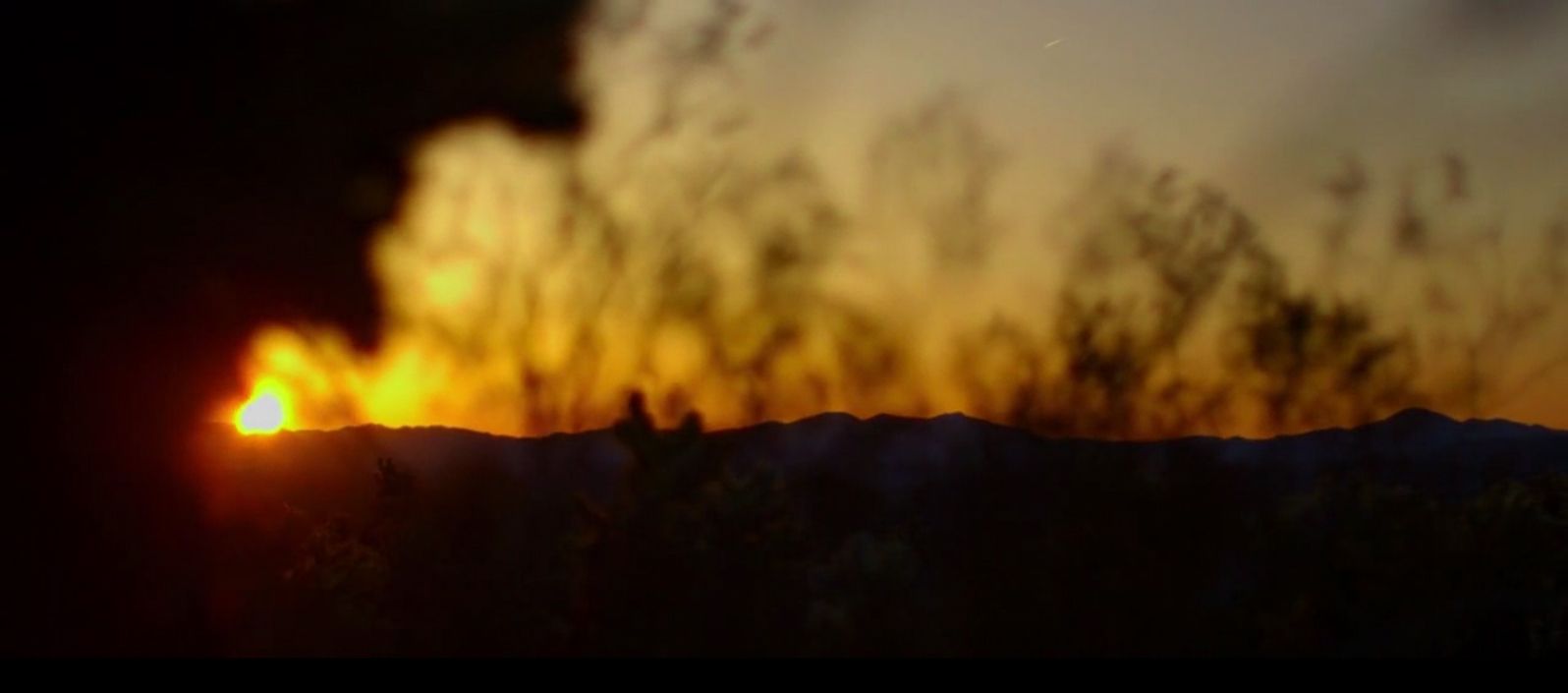 opplanet manfrotto promo4 video flv