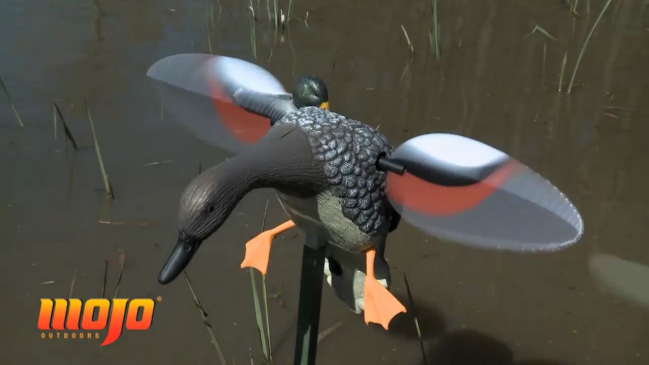 opplanet mojo gadwall video