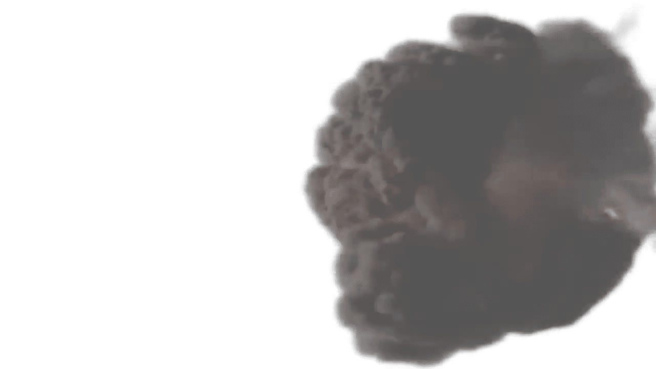 opplanet mtm the bull rifle rest video