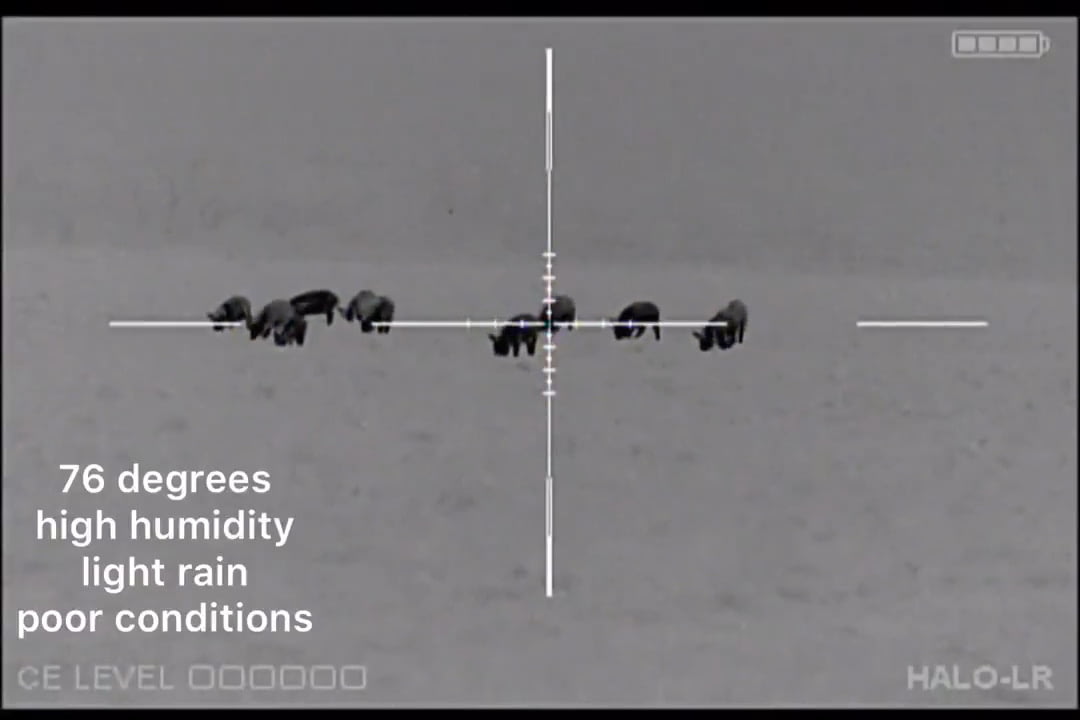 opplanet n vision optics halo lr video