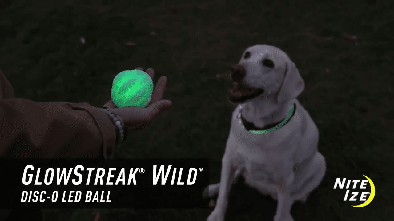 opplanet nite ize glowstreak wild disc o led ball video