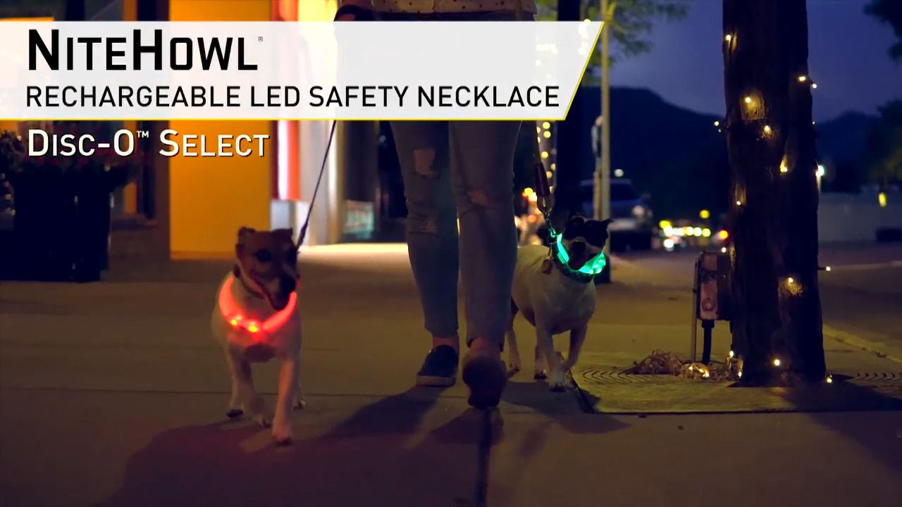 opplanet nite ize nitehowl rechargeable led safety necklace with disc o select video