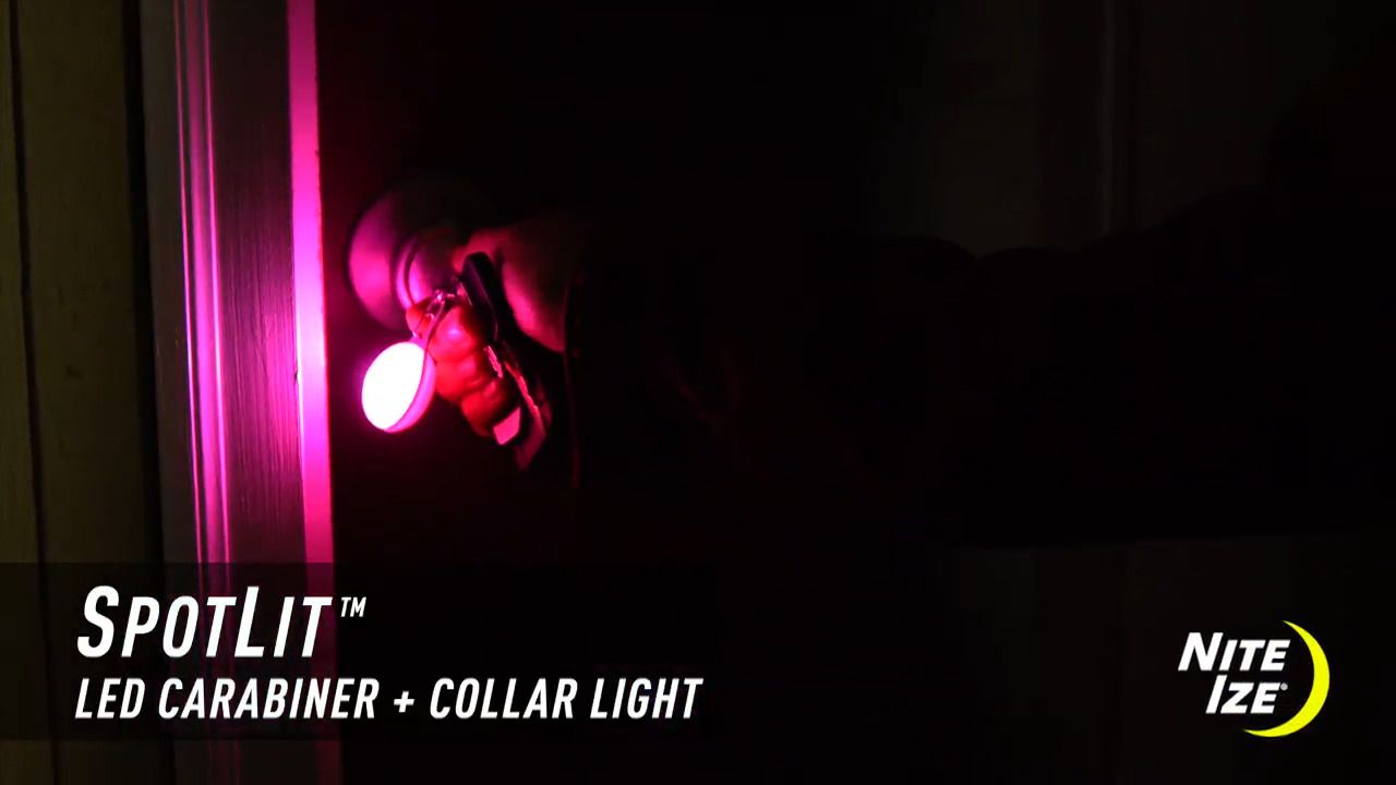 opplanet nite ize spotlit led carabiner plus collar light video