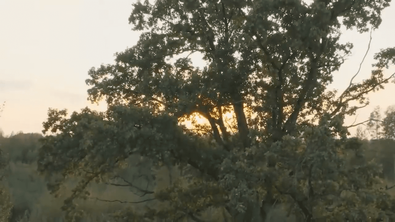 opplanet nocpix thermal imaging riflescope ace series video