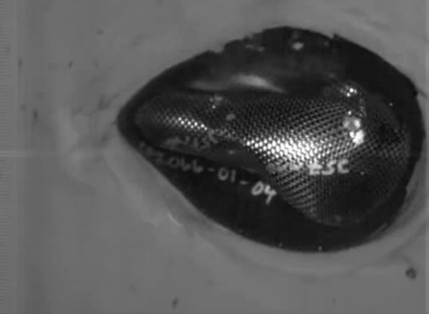 opplanet nutshellz ballistic test 4 flv