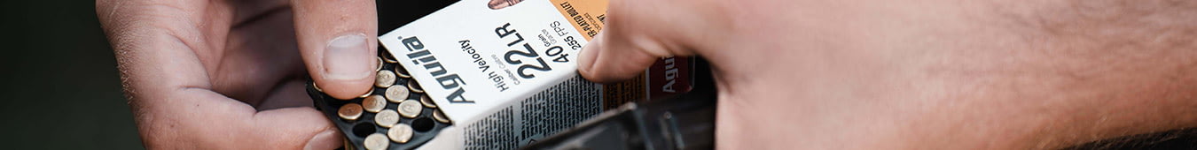 Stock Up on 22 LR & Save!