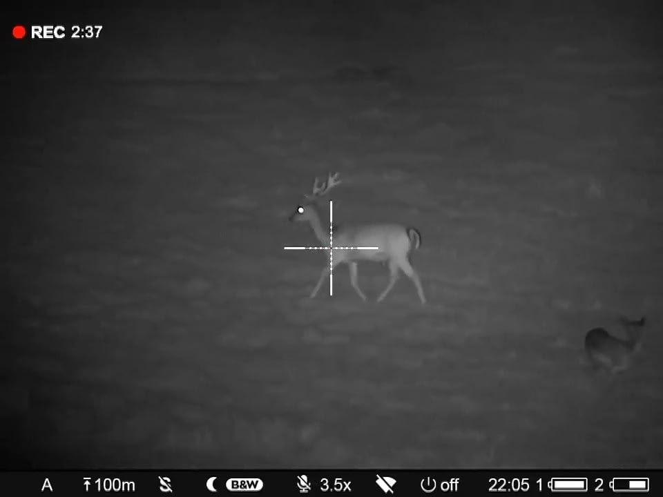 opplanet pulsar digex c50 deer time 22h video