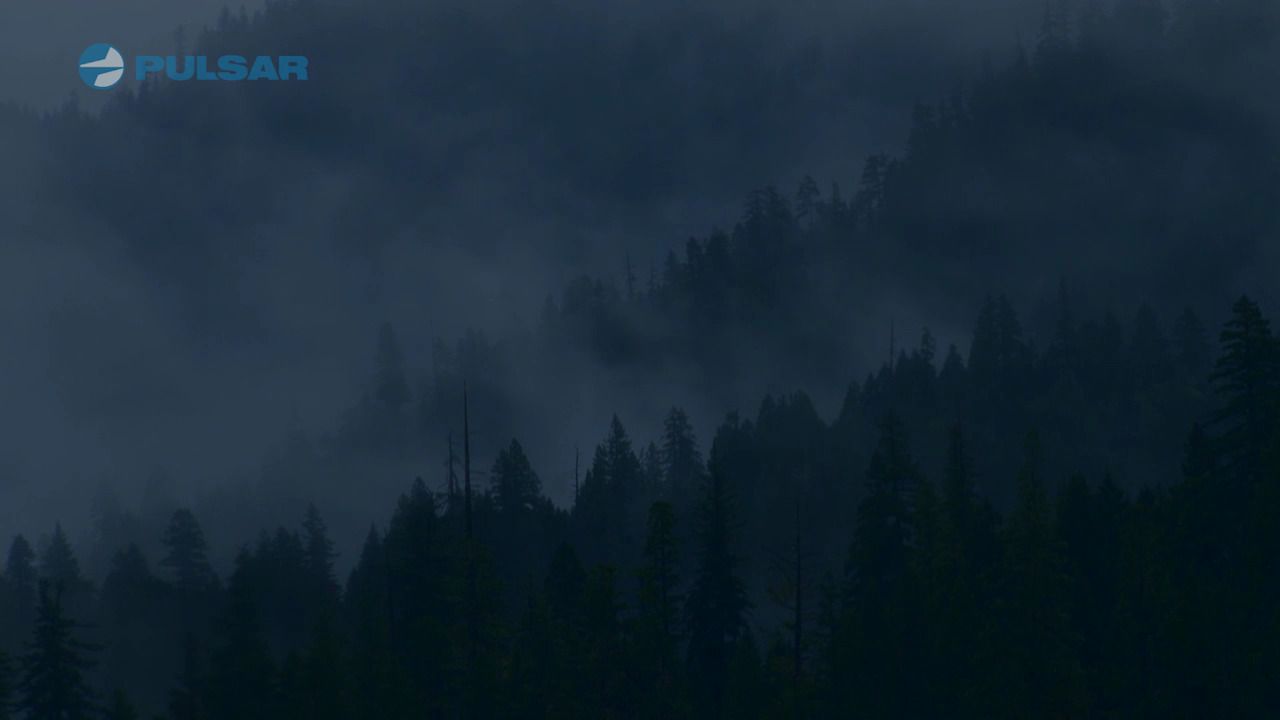 opplanet pulsar night vision guide video
